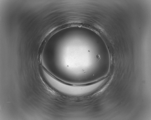 X0000067501113200604071219