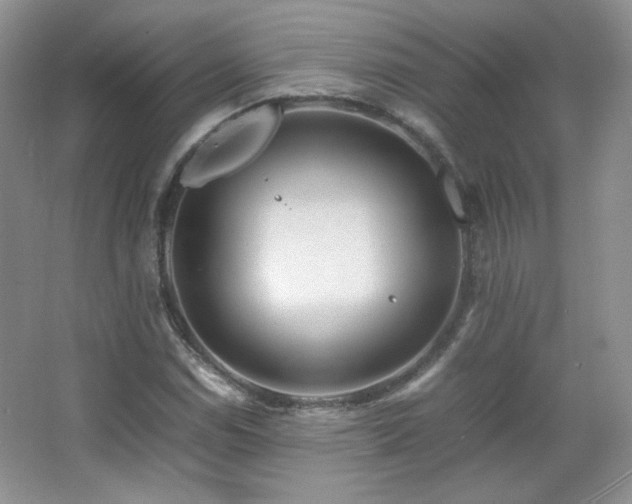 X0000067501114200604071219