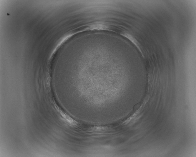 X0000067501115200604071219