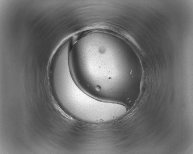 X0000067501116200604071219