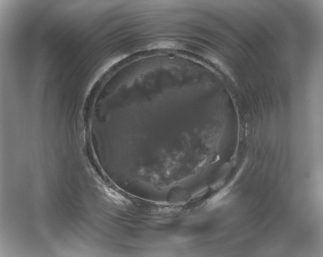 X0000067501117200604071219