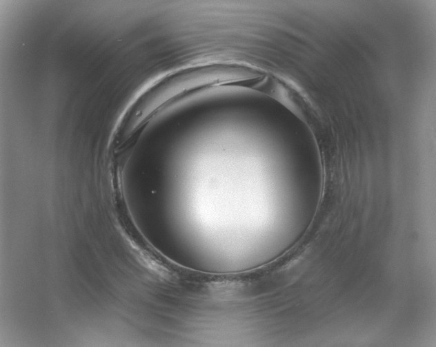 X0000067501118200604071219