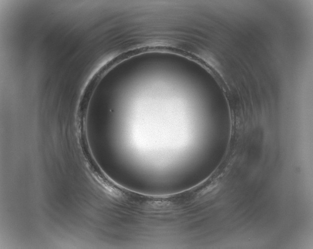 X0000067501119200604071219