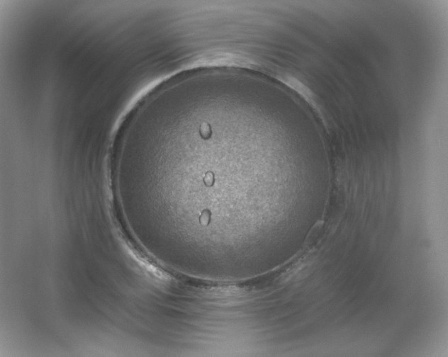 X0000067501120200604071219