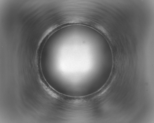 X0000067501122200604071219