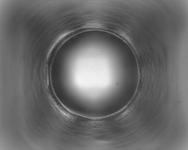 X0000067501123200604071219