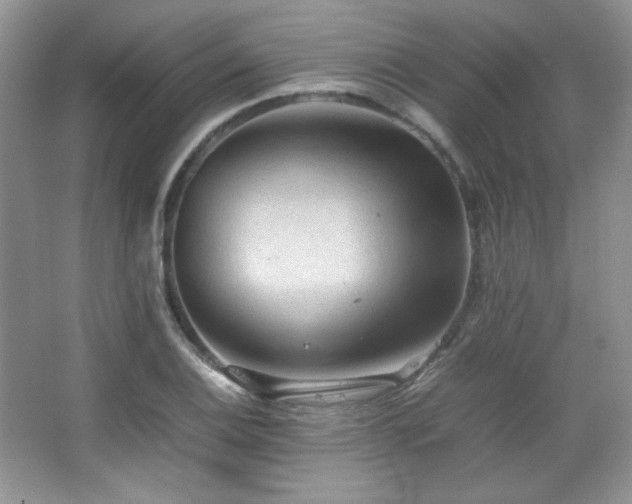 X0000067501124200604071219