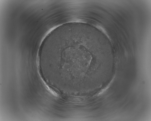 X0000067501125200604071219