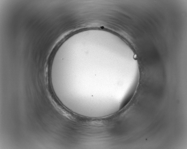 X0000067501126200604071219