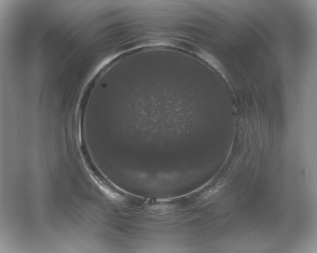 X0000067501127200604071219