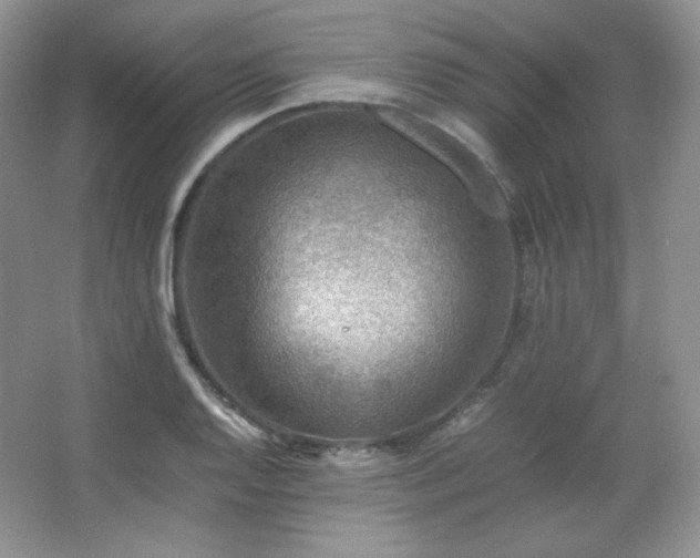 X0000067501128200604071219