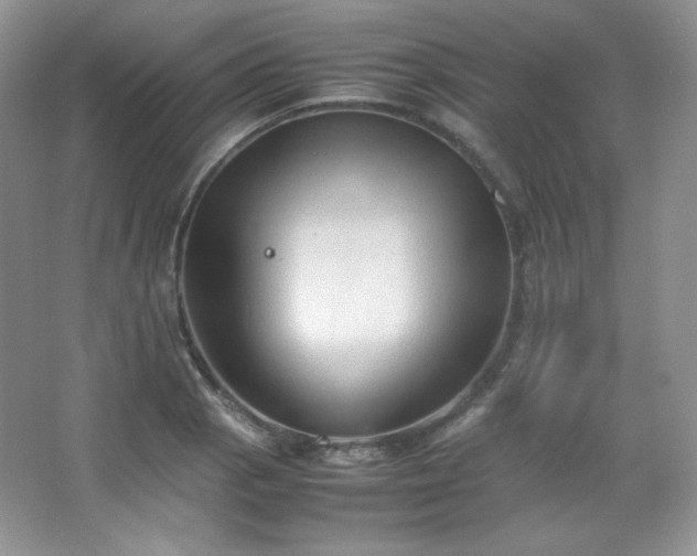 X0000067501129200604071219