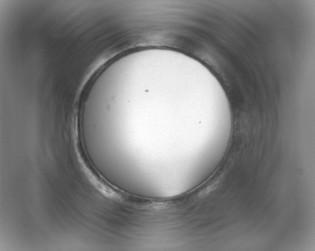 X0000067501130200604071219