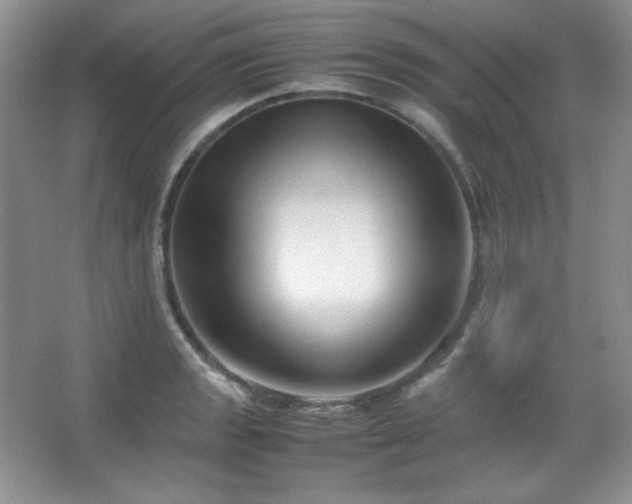 X0000067501133200604071219