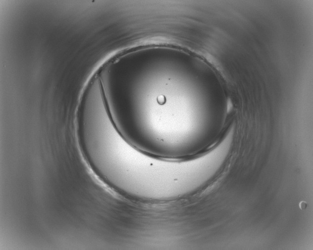 X0000067501134200604071219