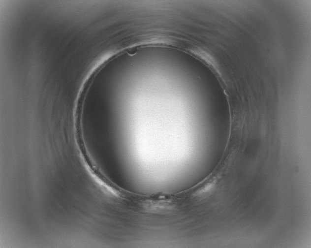 X0000067501135200604071219