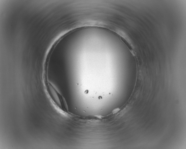 X0000067501136200604071219