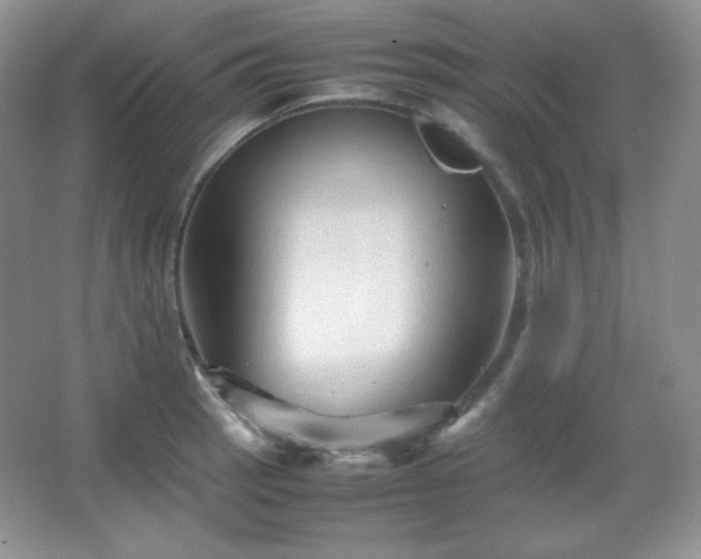 X0000067501137200604071219