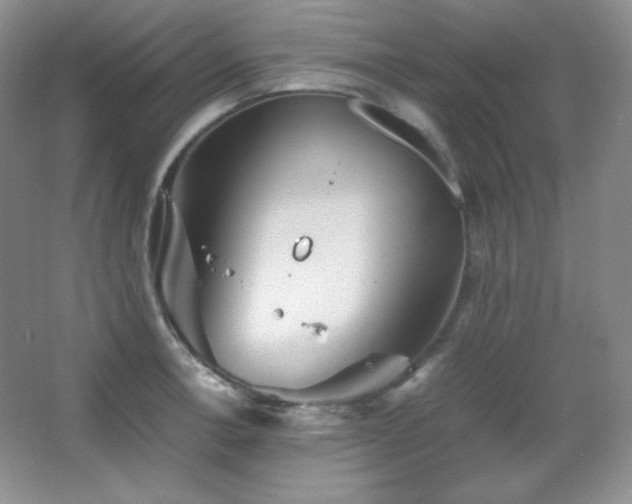 X0000067501138200604071219