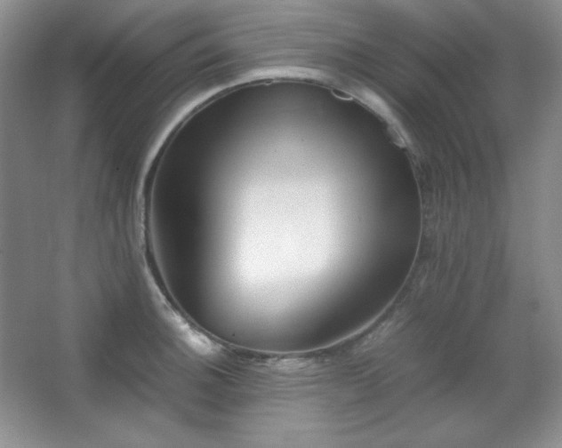 X0000067501140200604071219