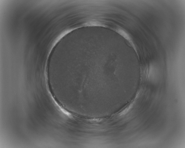 X0000067501141200604071219