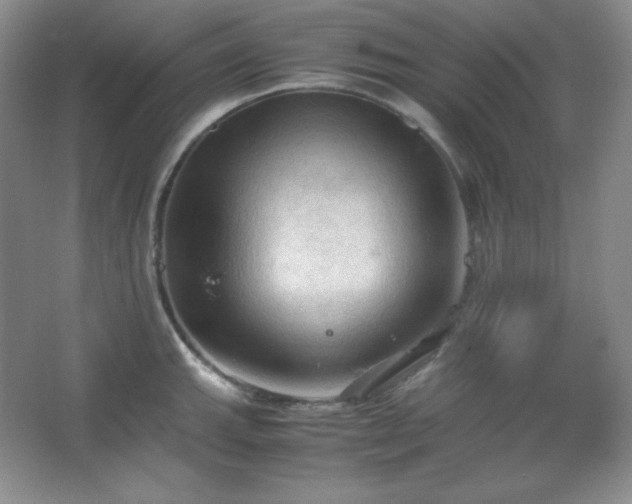 X0000067501143200604071219