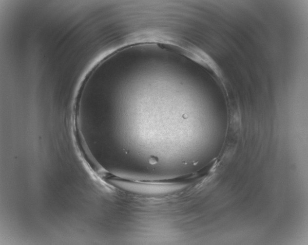 X0000067501144200604071219