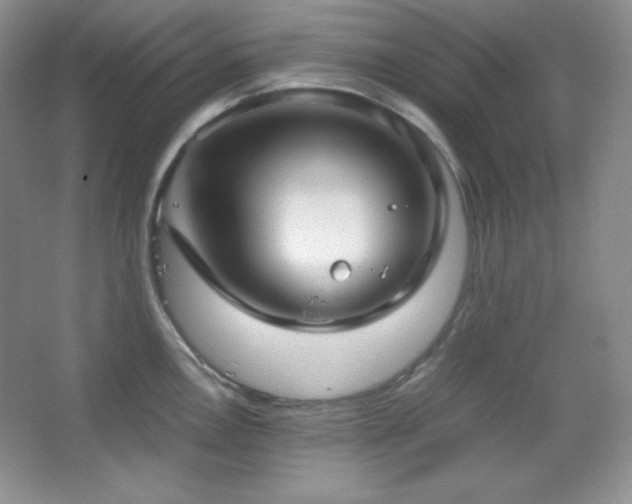 X0000067501146200604071219