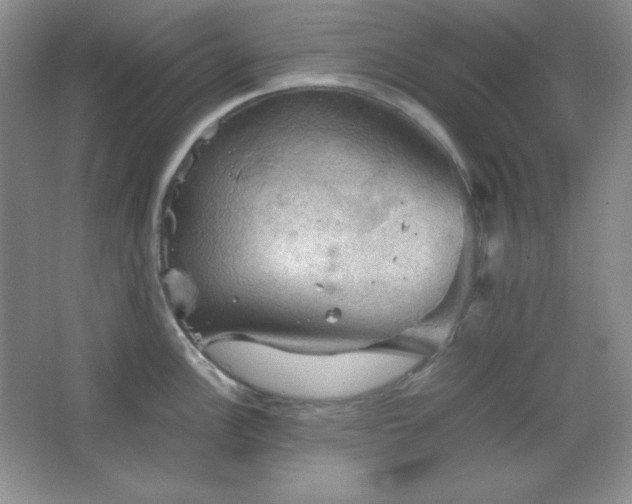 X0000067501148200604071220