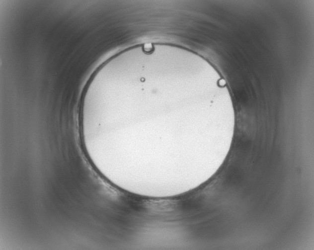 X0000067501150200604071220