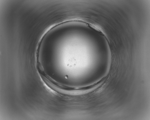 X0000067501151200604071220