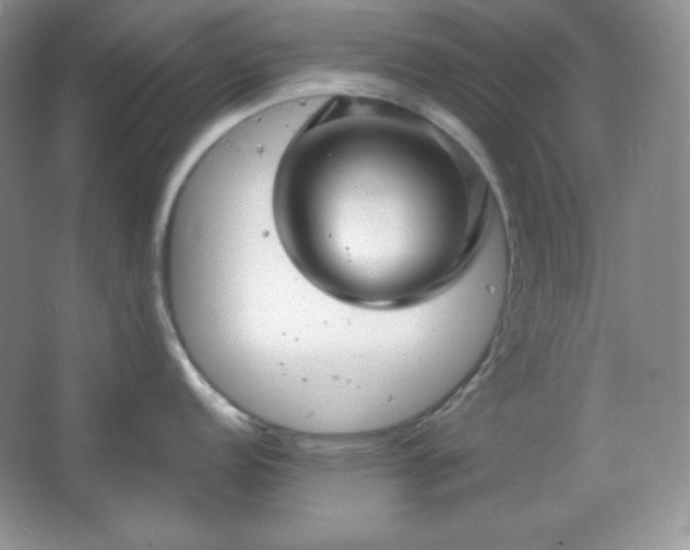 X0000067501152200604071220