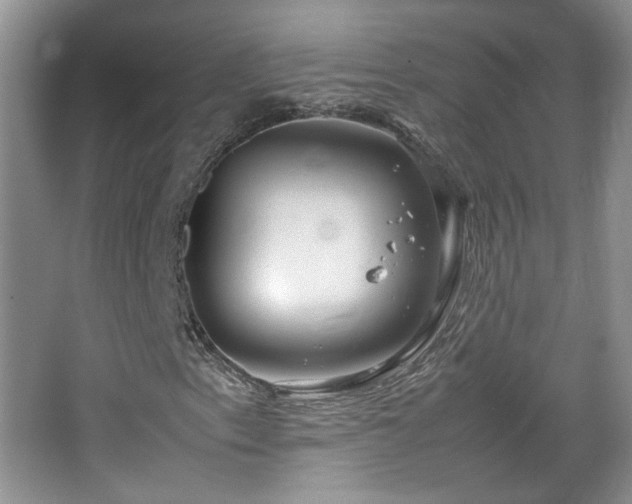 X0000067501153200604071219