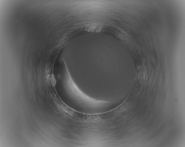 X0000067501154200604071219