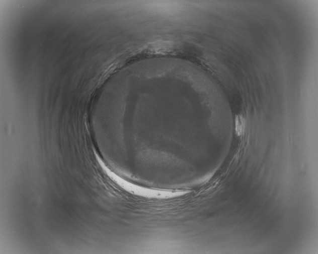 X0000067501155200604071219