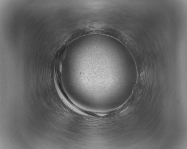 X0000067501156200604071219