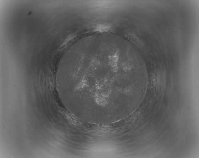 X0000067501158200604071219