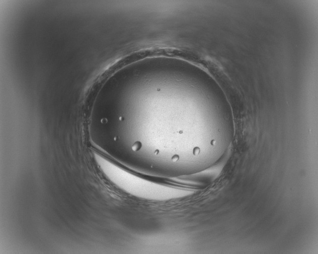 X0000067501159200604071219