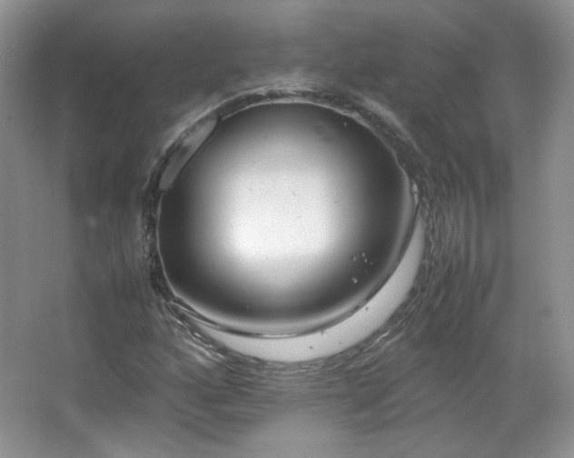 X0000067501160200604071219