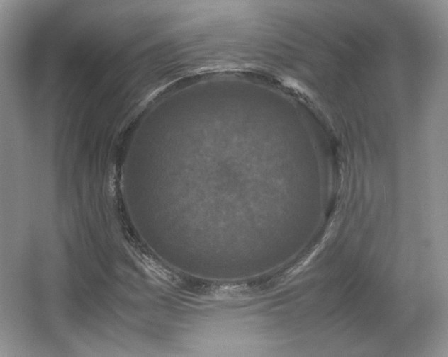 X0000067501161200604071219