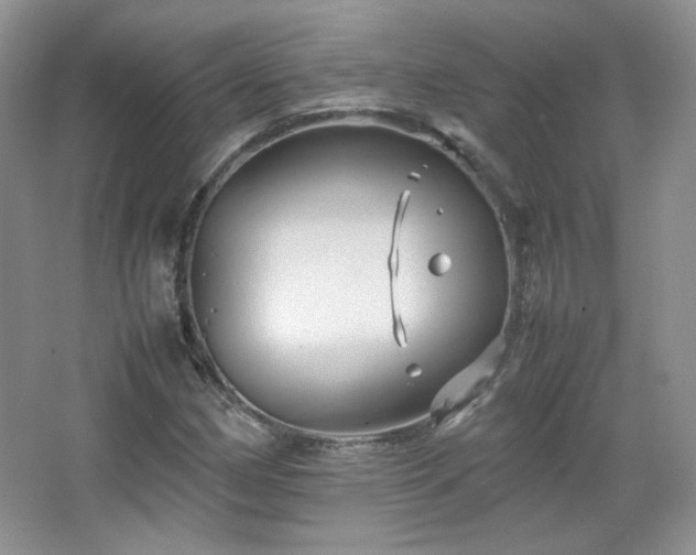 X0000067501162200604071219