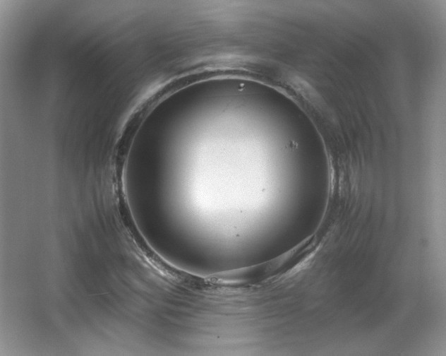 X0000067501164200604071219