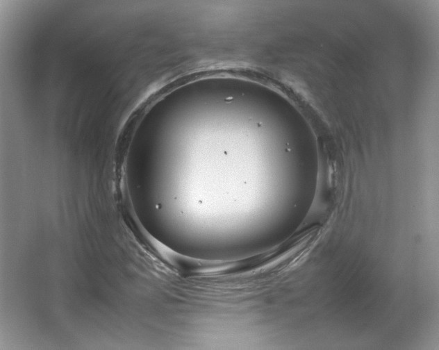 X0000067501165200604071219