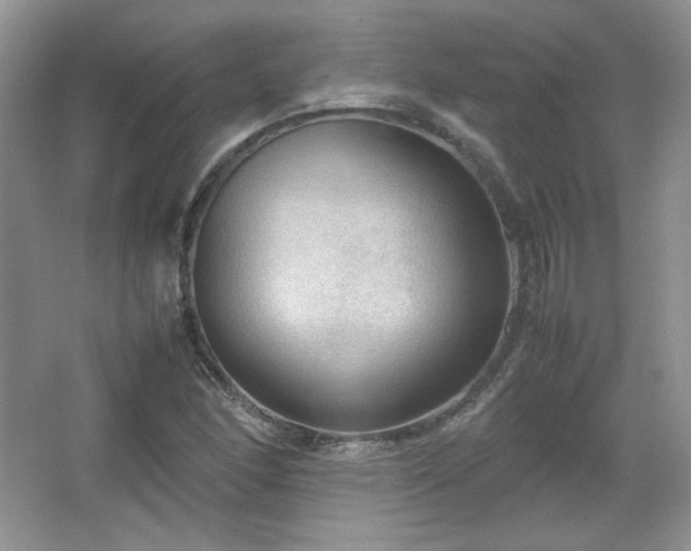 X0000067501166200604071219