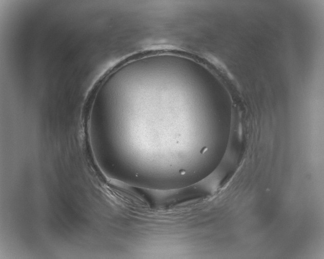 X0000067501167200604071219