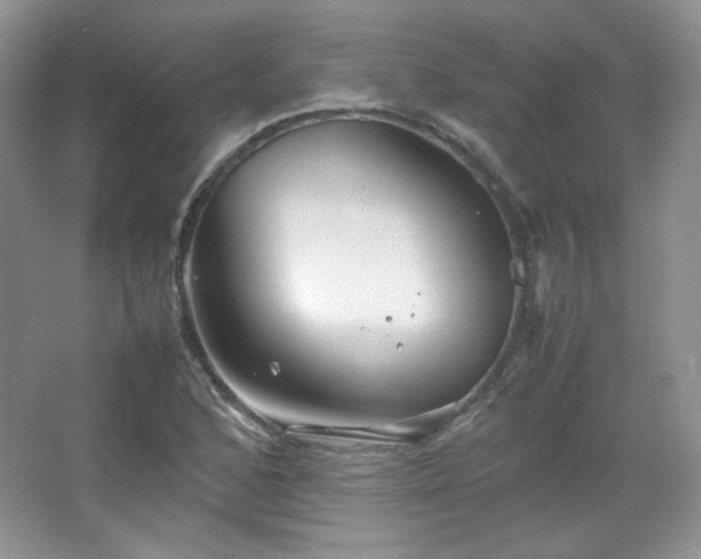 X0000067501168200604071219