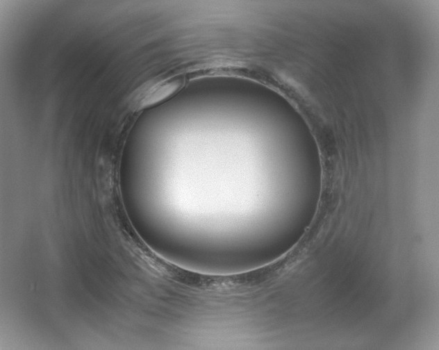 X0000067501169200604071219