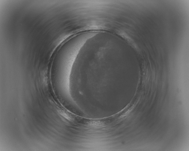 X0000067501170200604071218