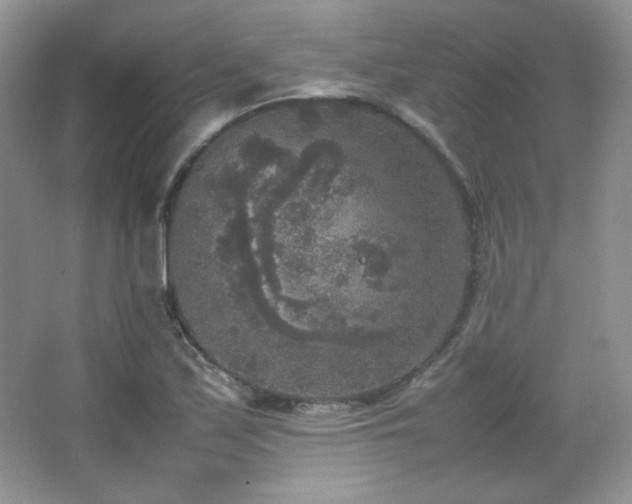 X0000067501171200604071218