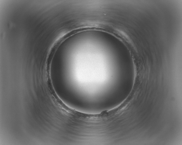 X0000067501172200604071218